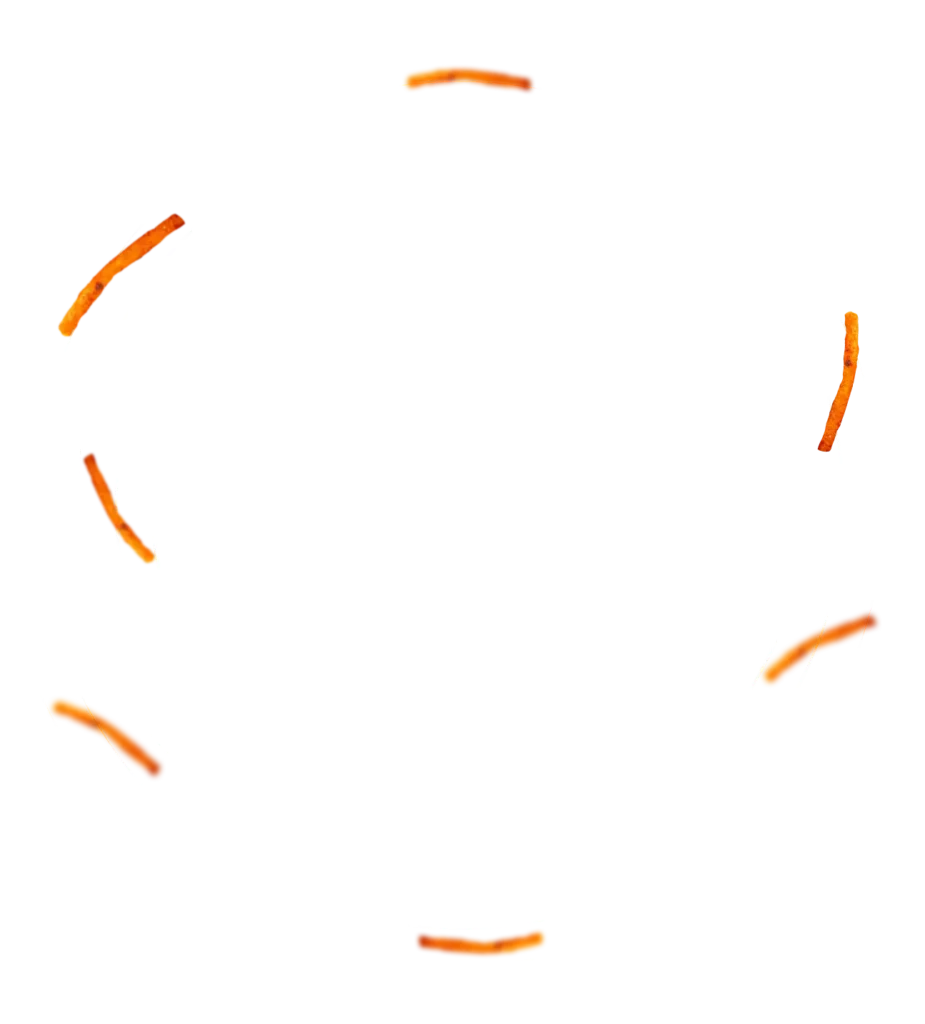 espiral-charly